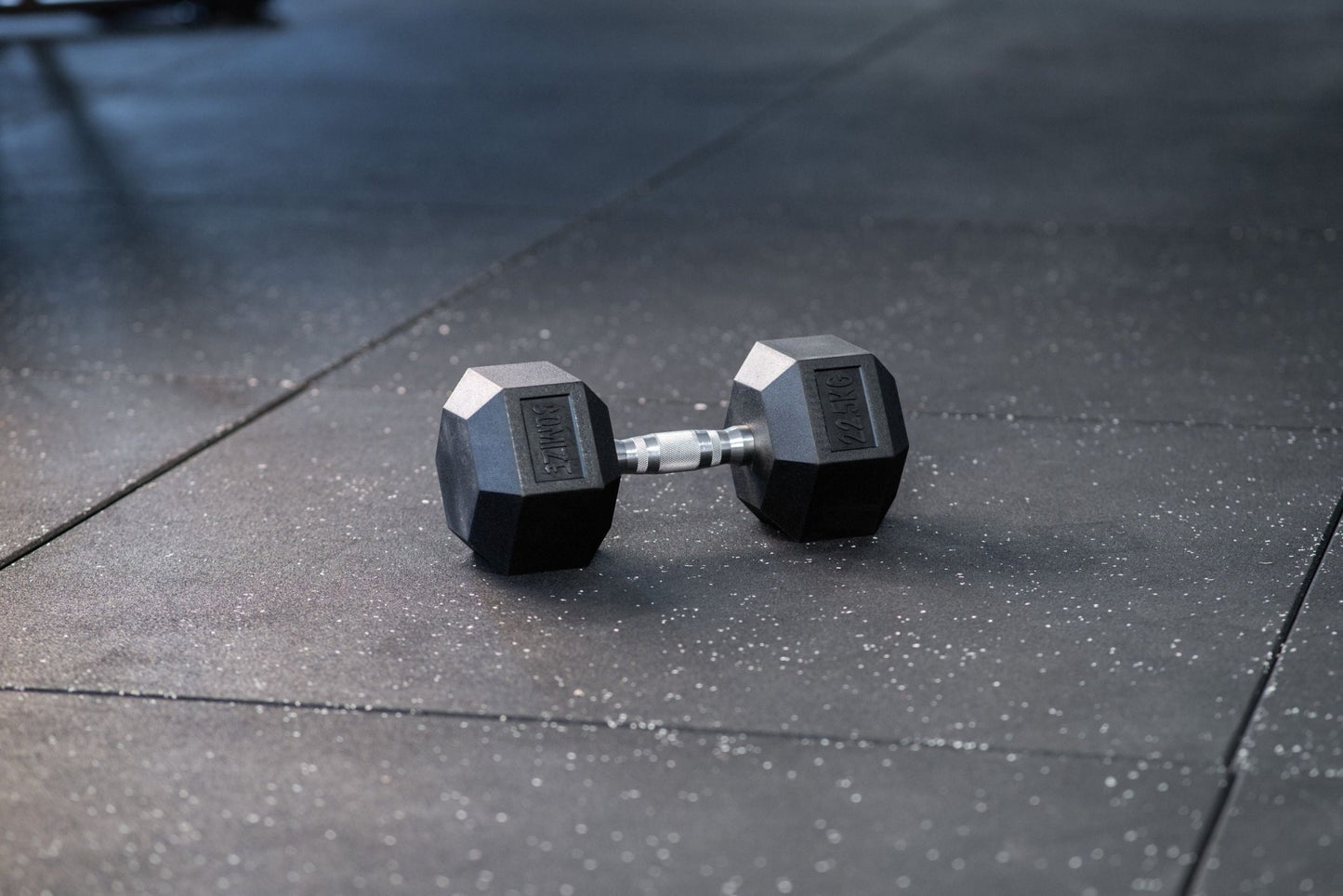 Hex Dumbbell SQMIZE® HDBR22.5 Rubber, 22,5 kg - SQMIZE Nederland