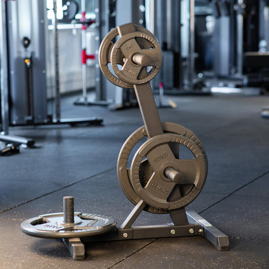 Olympia Gewichtsschijven-Set SQMIZE® OPH70 Antraciet 70 kg - SQMIZE Nederland