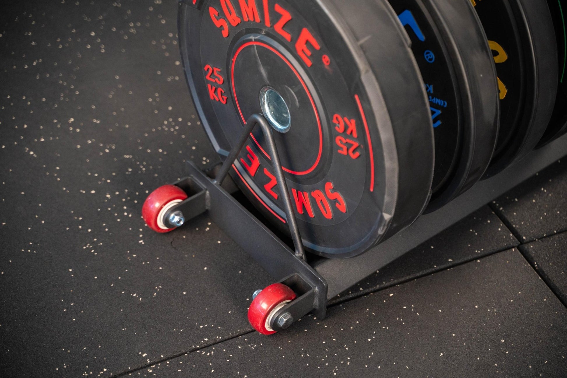 Professionele Gewichtsschijven Standaard SQMIZE® BPR120 - SQMIZE Nederland