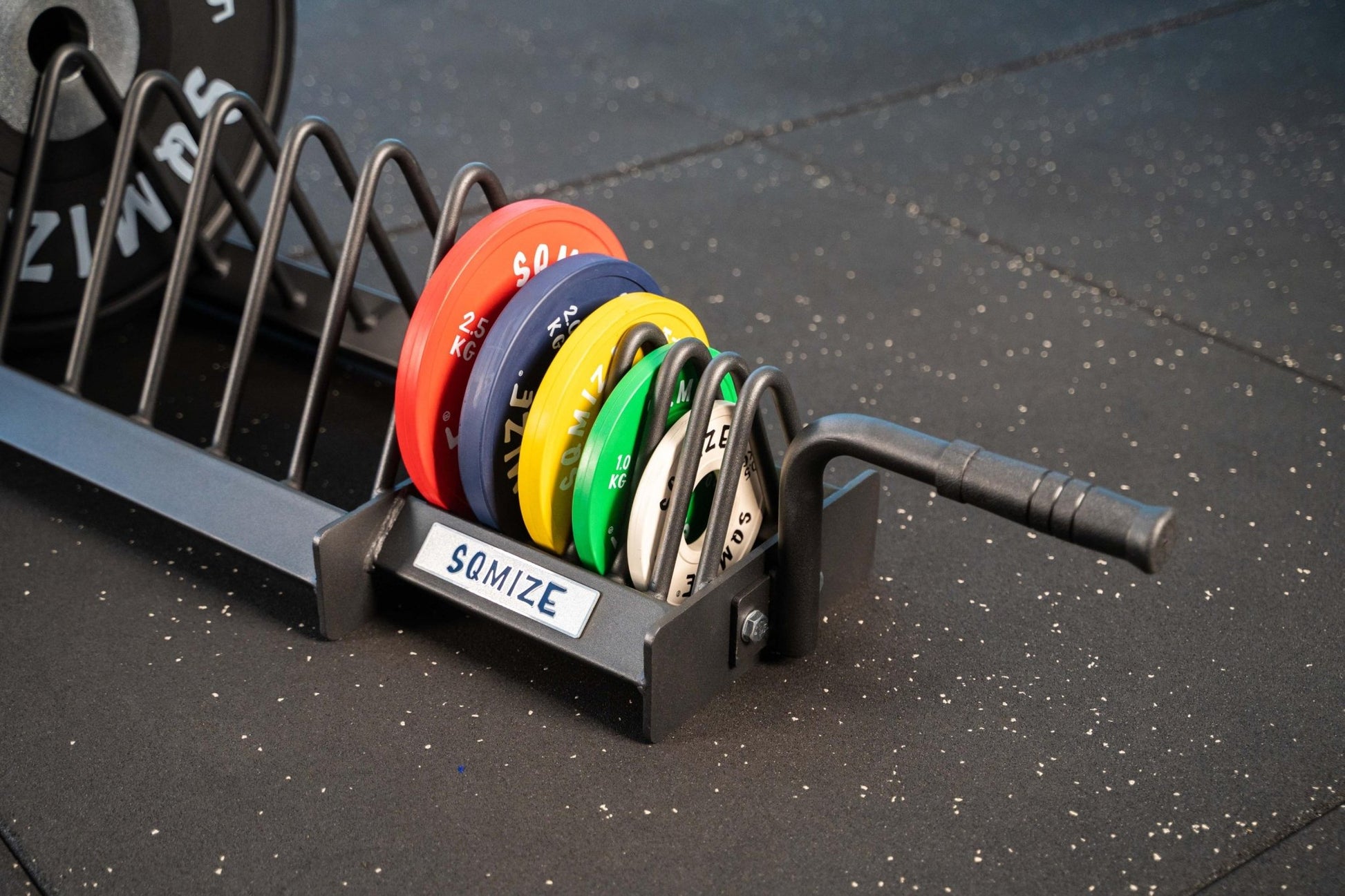 Professionele Gewichtsschijven Standaard SQMIZE® BPR120 - SQMIZE Nederland