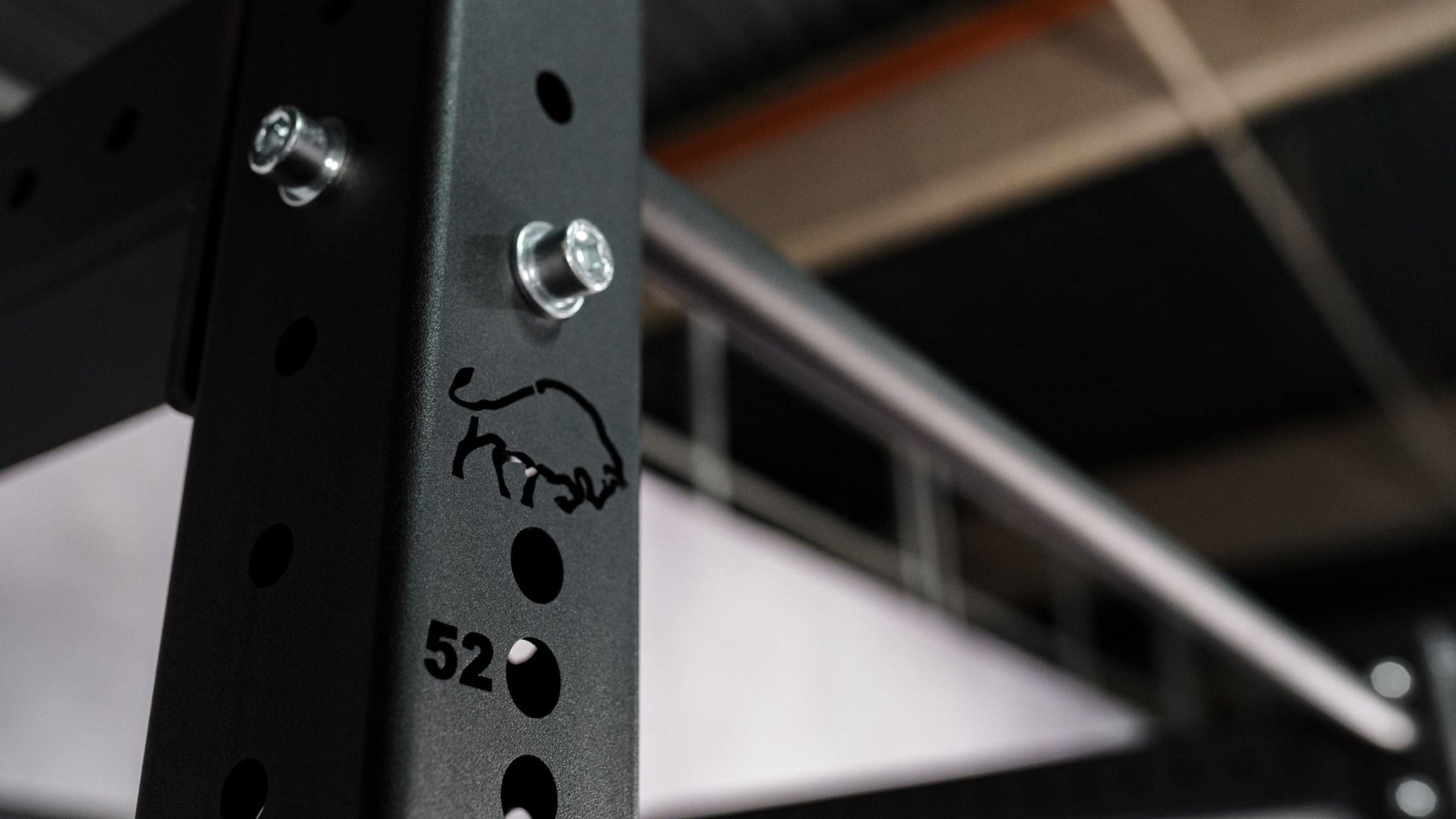 Wall-Mounted Power Rack Configurator SQMIZE® PREMIUM BISON - SQMIZE Nederland